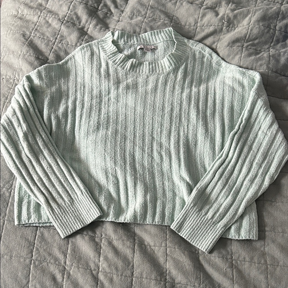 American Eagle Outfitters Light Green Cropped Ribbed Sweater